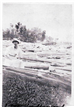 log jam Mississippi River about 1916. Pictured is Rose Underwood Holt