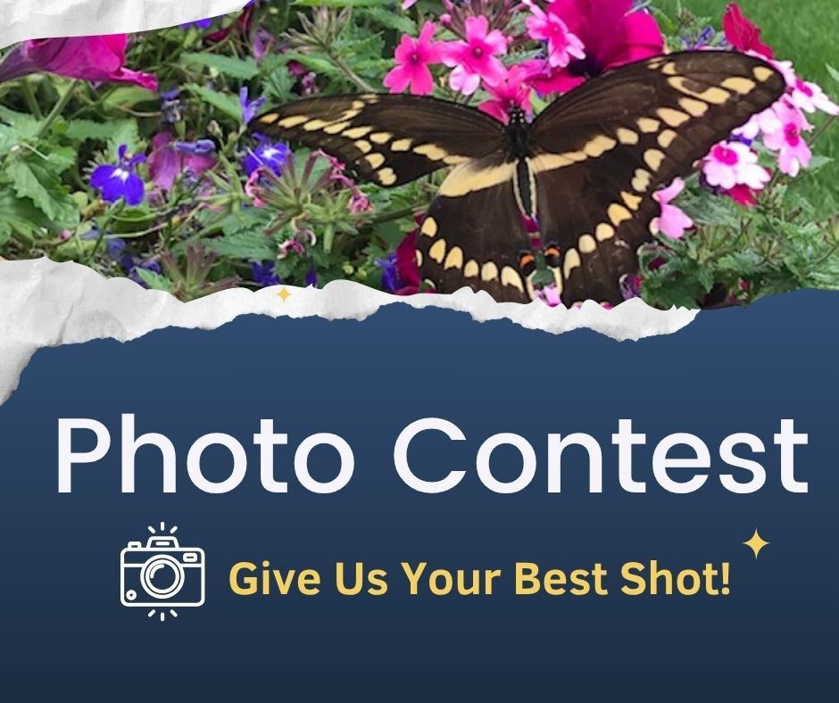 Photo Contest 2025 (1)