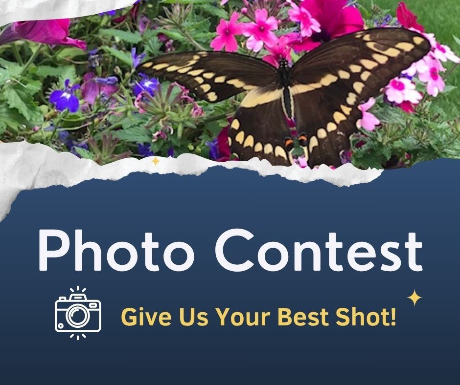 Photo Contest 2025 (2)